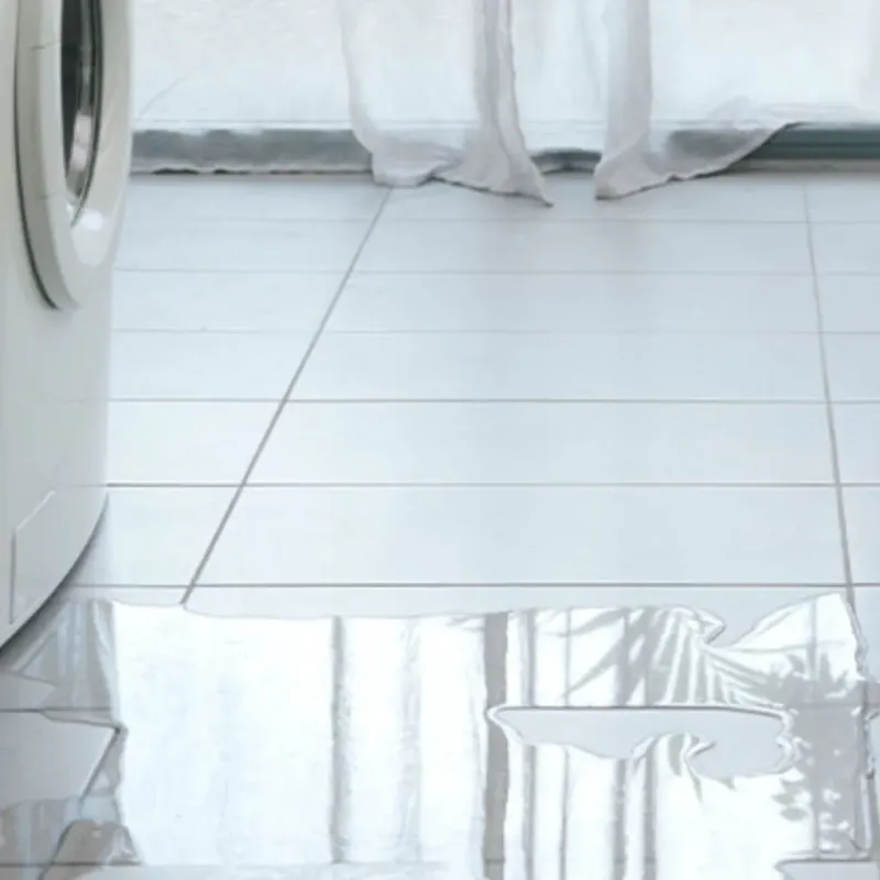 Appliance Leak Cleanup in Idaho County, ID