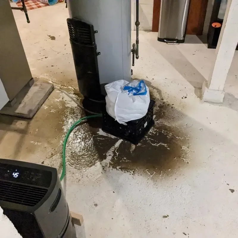 Sewage Backup Cleanup Service in Idaho County, ID